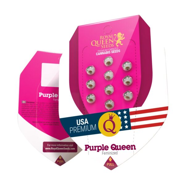 RQ - Purple Queen Feminized – Bild 2