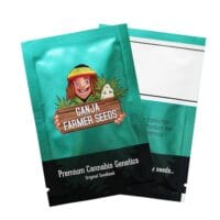 Ganja - Amnesia Haze Auto – Bild 4